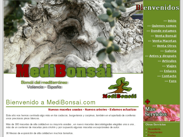 www.medibonsai.com