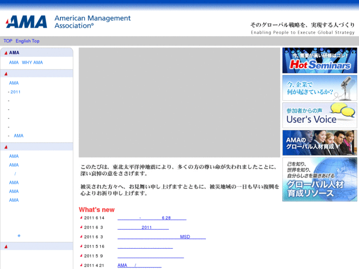 www.amajapan.co.jp