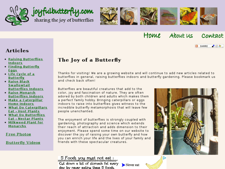 www.joyfulbutterfly.com