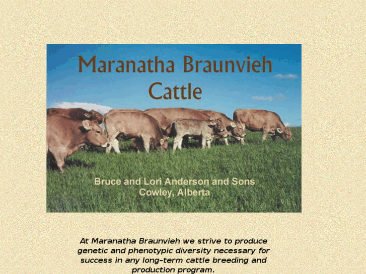 www.maranatha-braunvieh.com