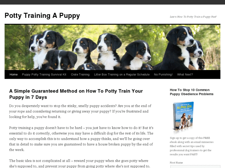 www.pottytrainingapuppyfast.com