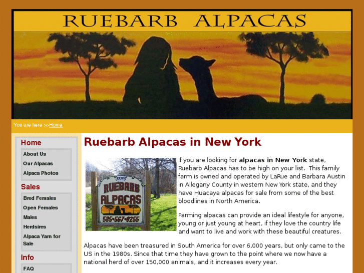 www.ruebarbalpacas.com