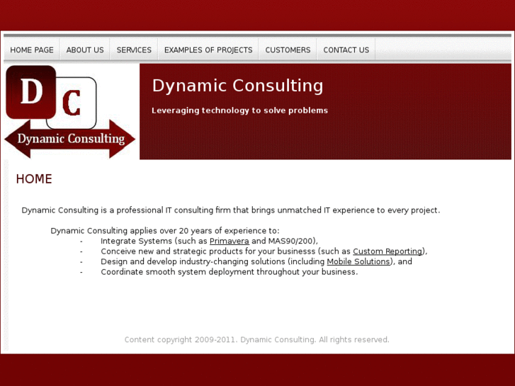 www.dynamic-consulting.net