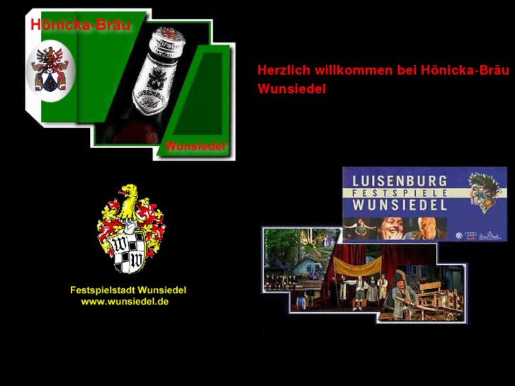 www.hoenicka.de