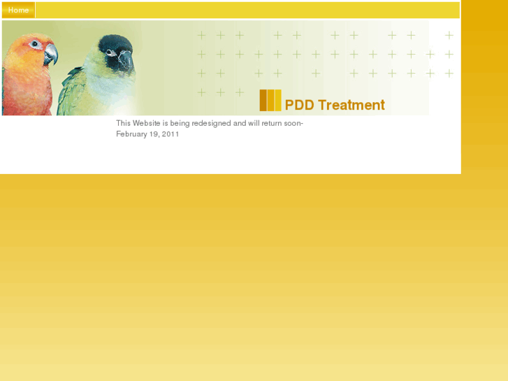 www.pddtreatment.org