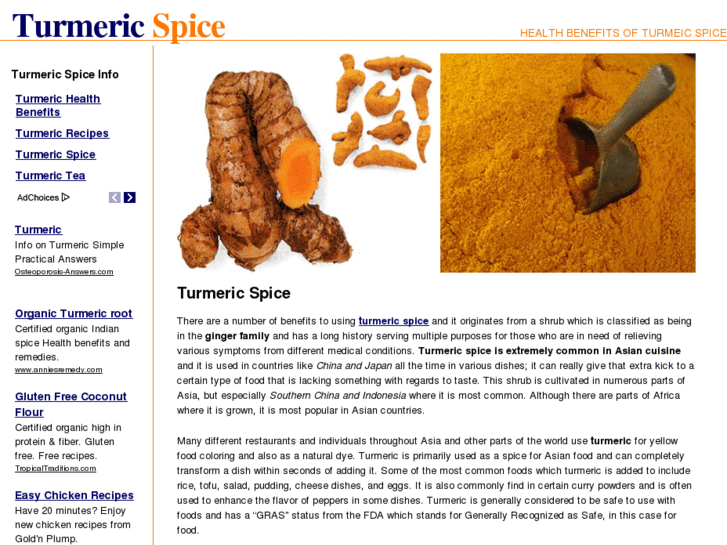 www.turmericspice.com