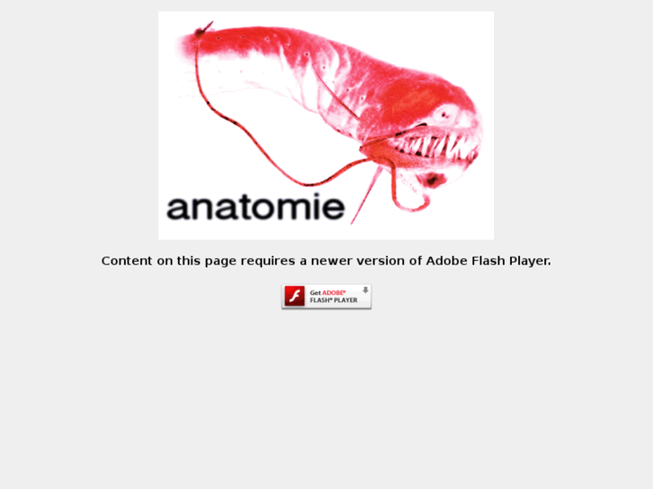 www.anatomie-music.net