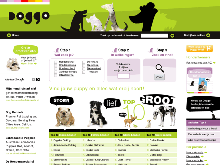 www.doggo.nl