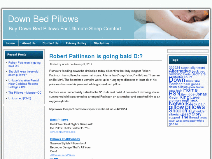 www.downbedpillows.net