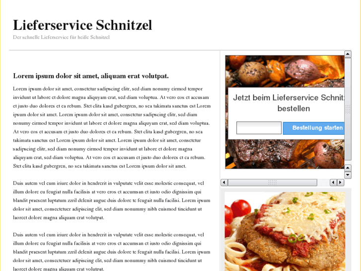 www.lieferservice-schnitzel.com