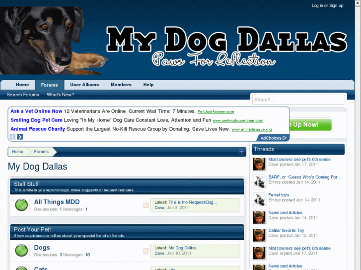 www.mydogdallas.com