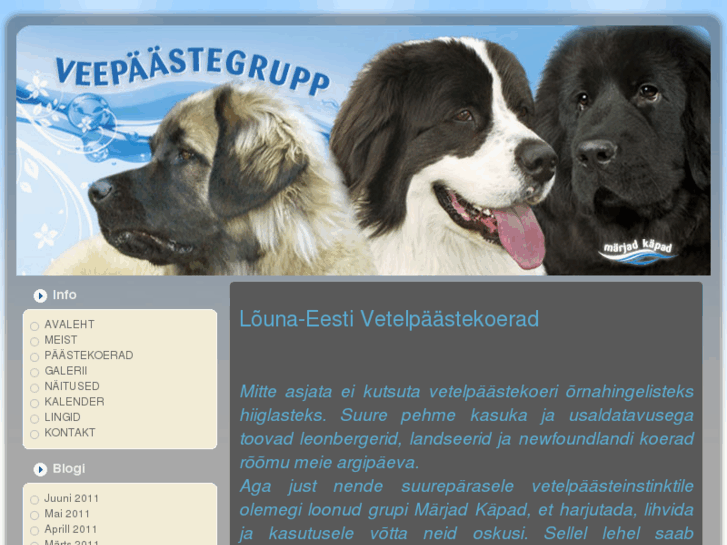 www.veepaastegrupp.com