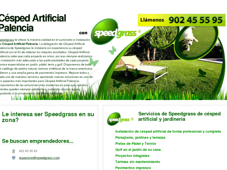 www.cespedartificialpalencia.com