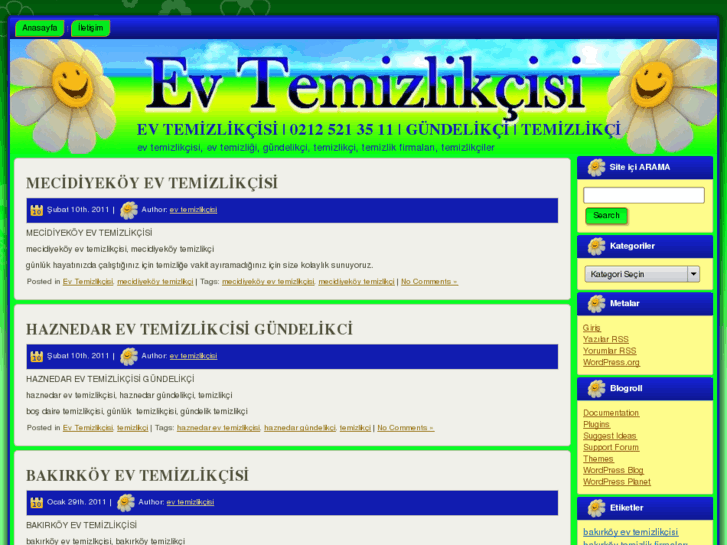 www.ev-temizlikcisi.com