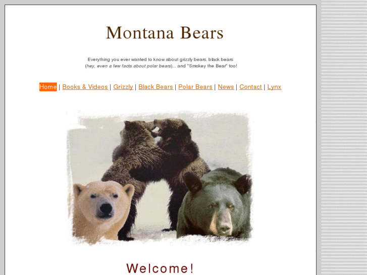 www.montanabears.com