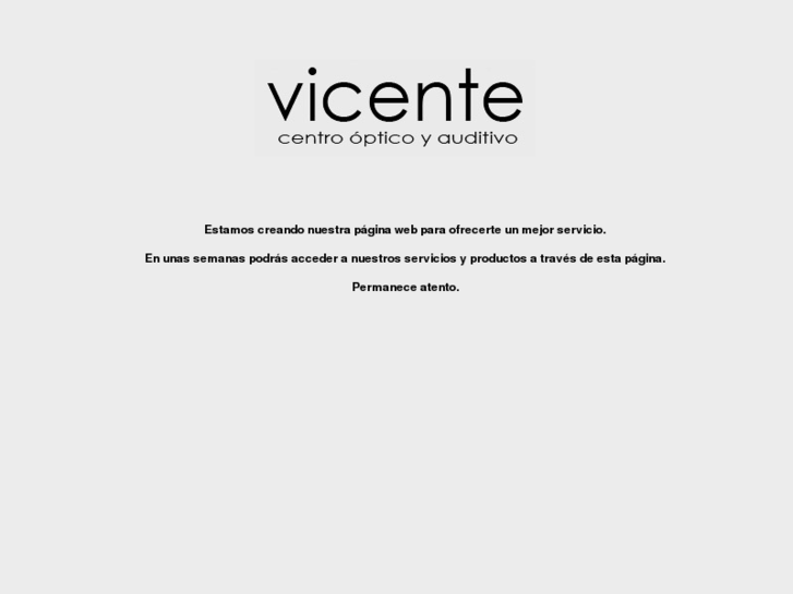 www.vicentevision.com