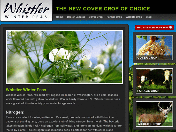 www.whistlerpeas.com