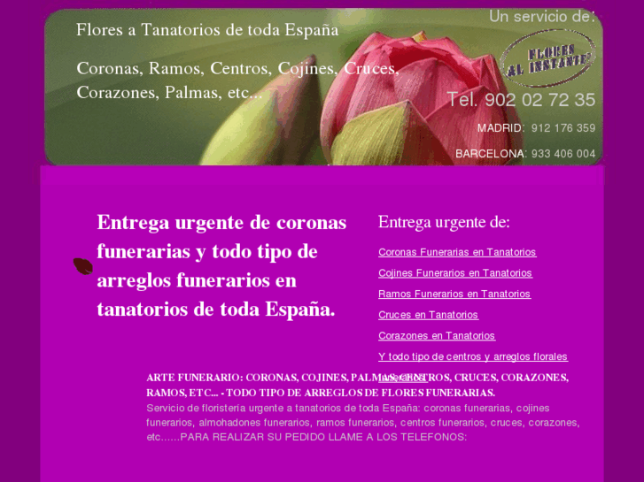 www.coronasdeflores.com