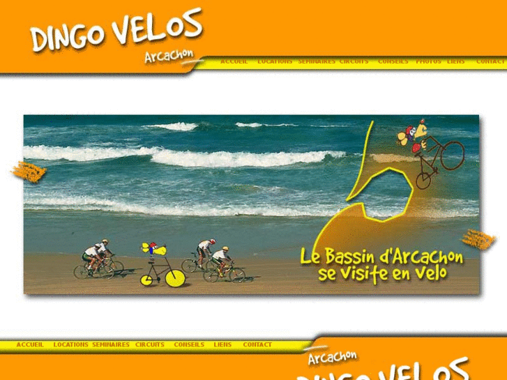 www.dingo-velo.com