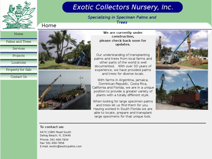 www.exoticpalms.com