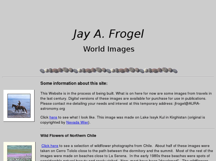 www.jayfrogel.com