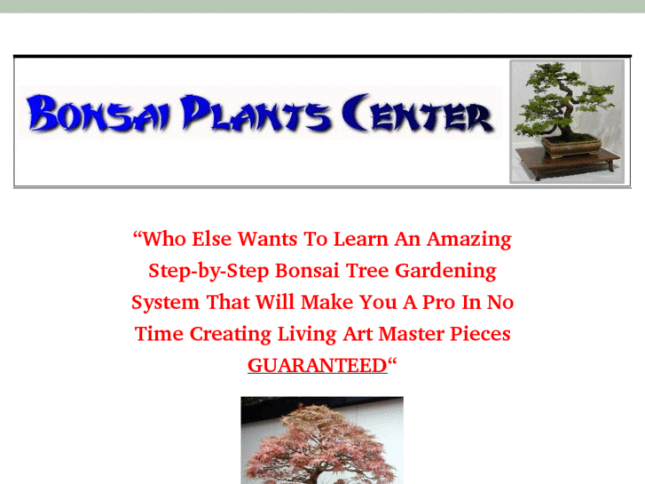 www.bonsaiplantscenter.com