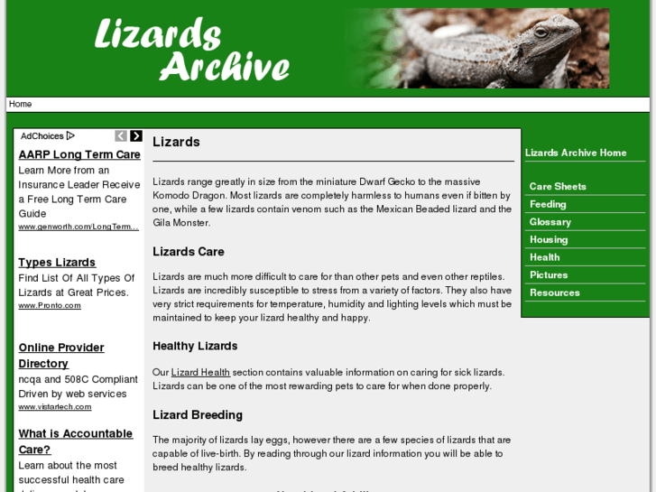 www.lizardsarchive.com