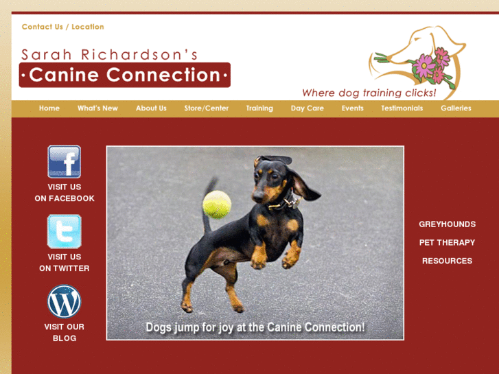 www.canine-connection.net