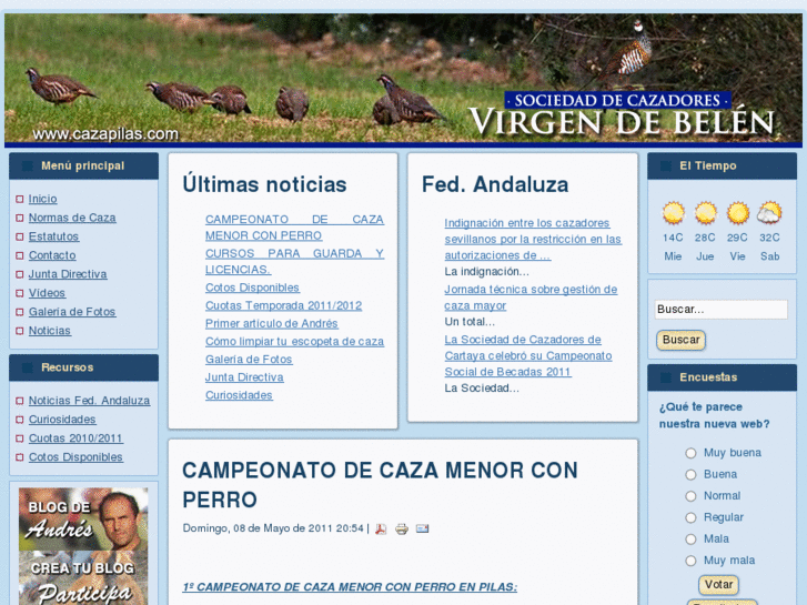 www.cazapilas.com