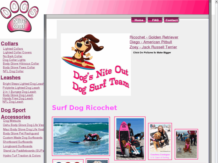 www.dogsurfing.net