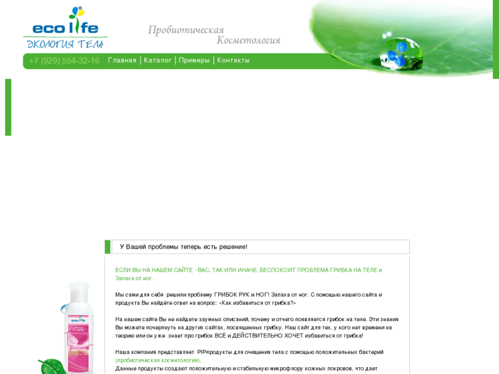 www.ecolife-eu.com