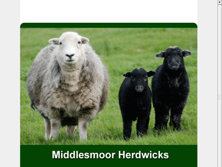 www.herdwicksheep.com