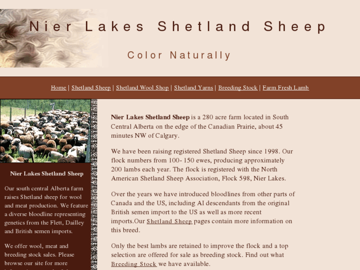 www.shetlandsheep.ca