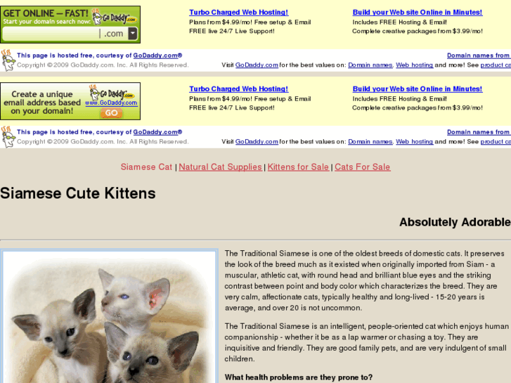 www.siamesecutekittens.com