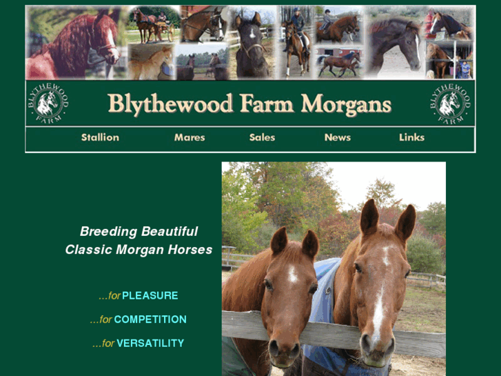 www.blythewoodfarm.com