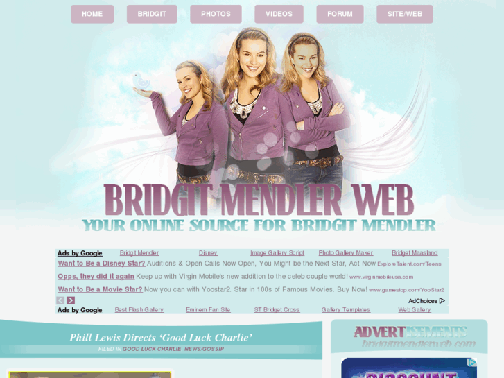 www.bridgitmendlerweb.com