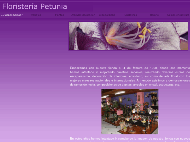 www.floristeriapetunia.es