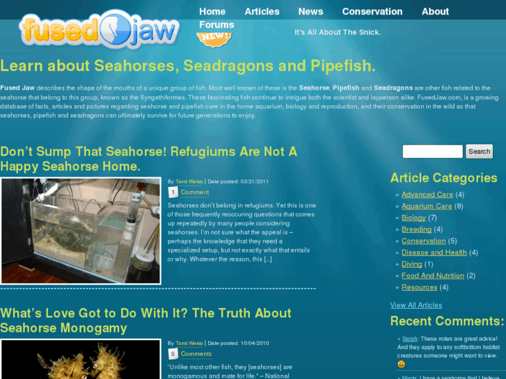 www.fusedjaw.com