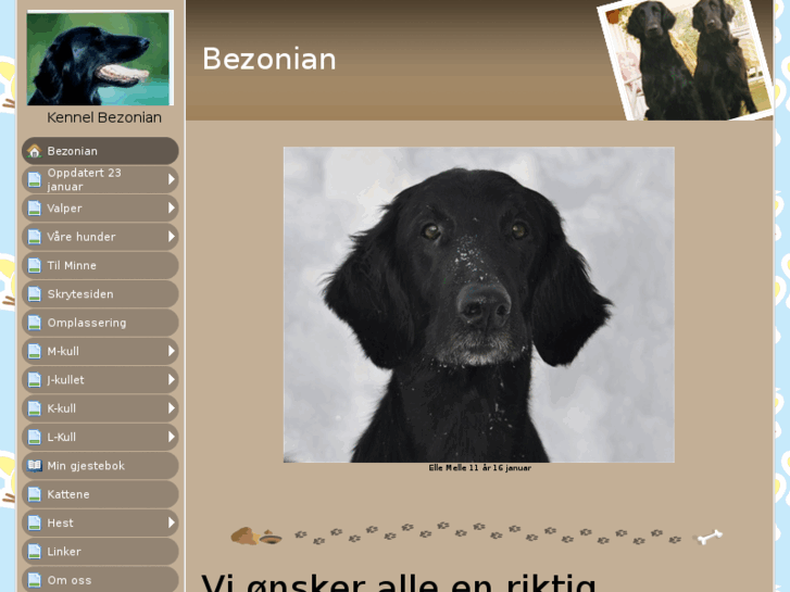 www.kennelbezonian.com