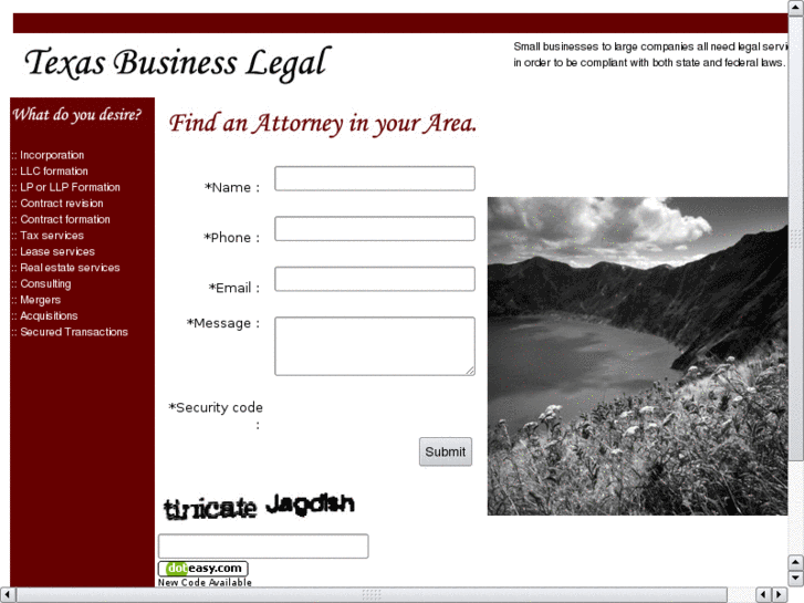 www.texasbusinesslegal.com