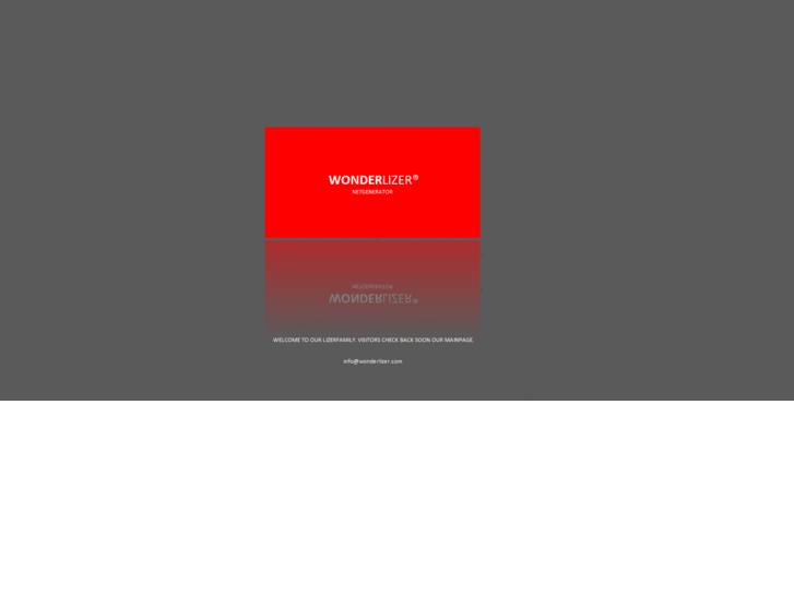 www.wonderlizer.com