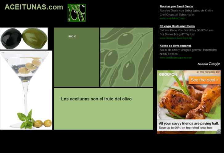 www.aceitunas.com