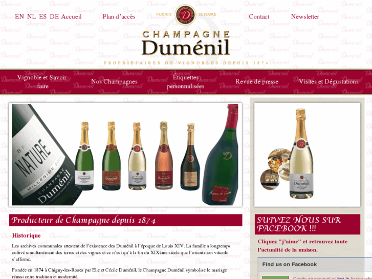 www.champagne-dumenil.com