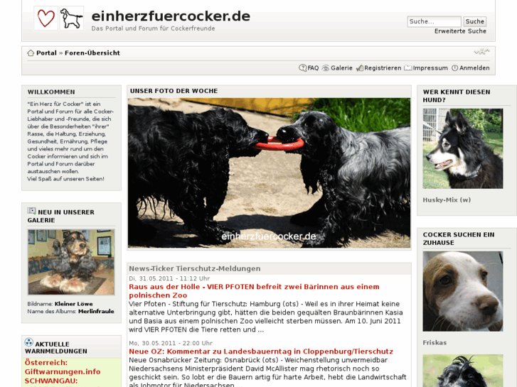 www.einherzfuercocker.de