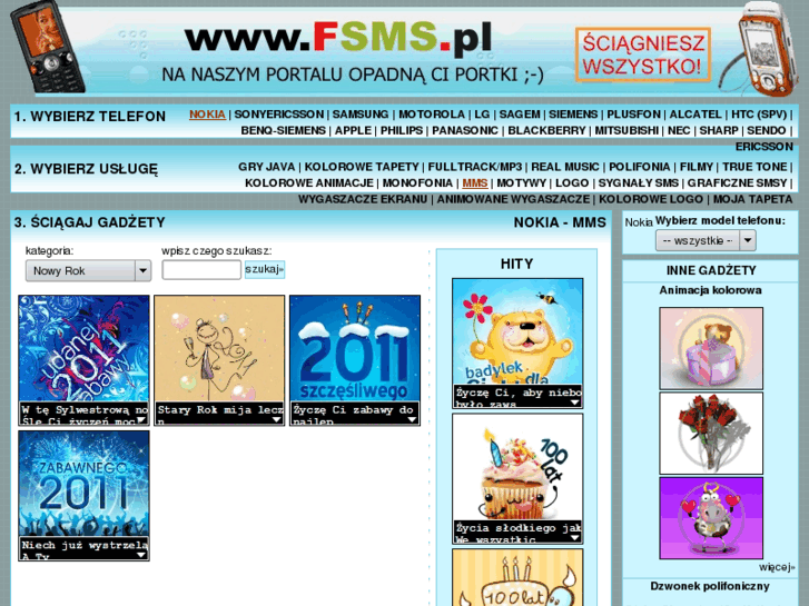 www.fsms.pl