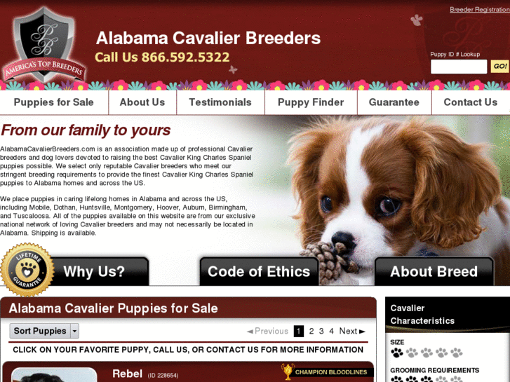 www.alabamacavalierbreeders.com