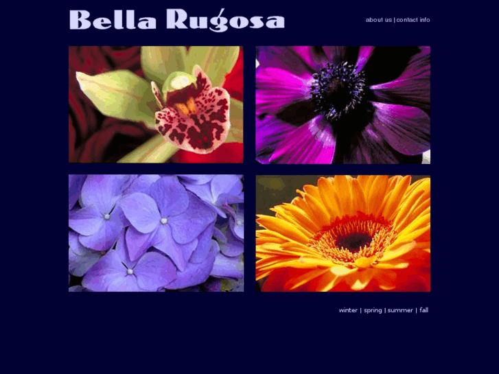 www.bellarugosa.com