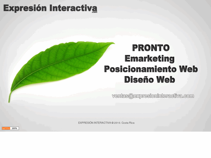 www.expresioninteractiva.com