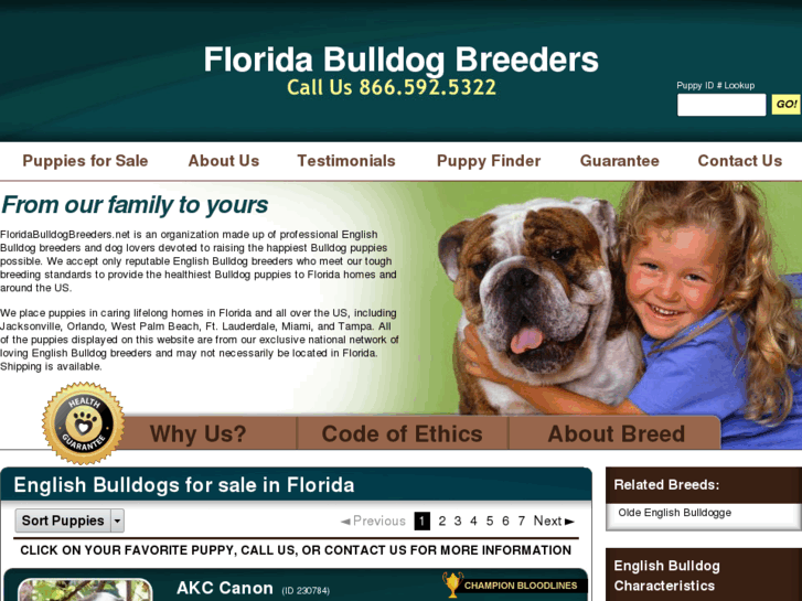 www.floridabulldogbreeders.net