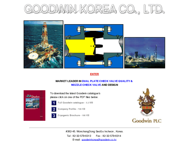 www.goodwin.co.kr